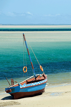 mozambico