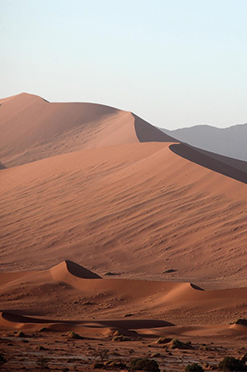 desert