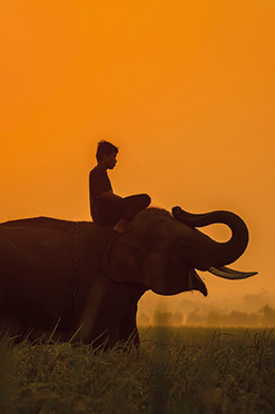 tanzania5