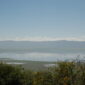 Ngorongoro