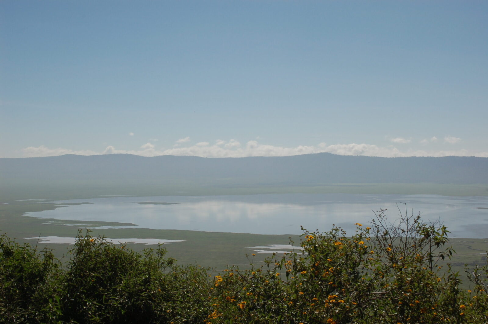 Ngorongoro