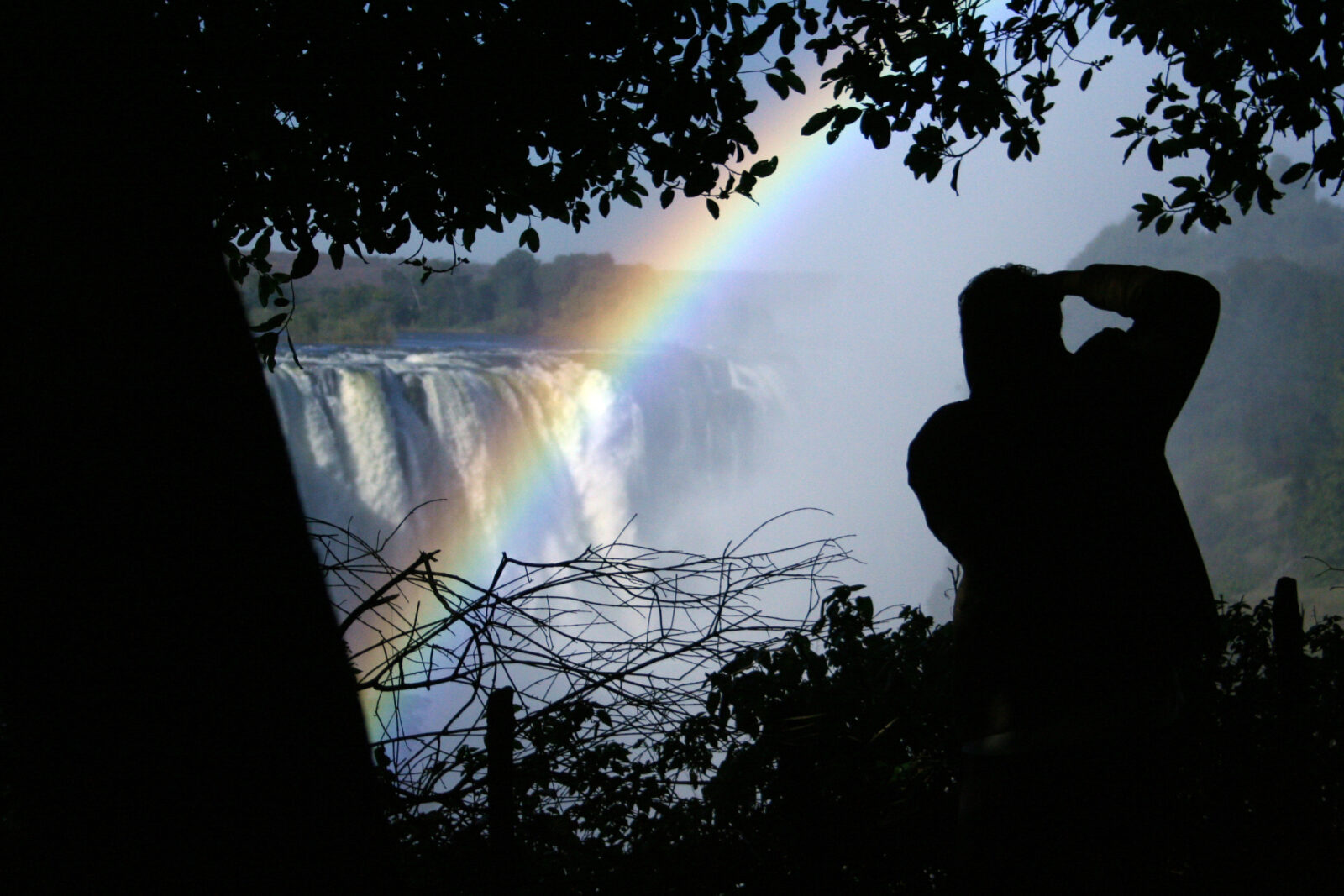 Safari fotografico